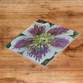 Lenten Rose Hellebore Keramik Tile Fliese