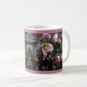 Lenten-Rose Kaffeetasse