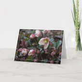 Lenten-Rose Karte (Vorderseite)