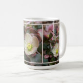 Lenten Rose Nah Kaffeetasse (VorderseiteRechts)