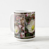 Lenten Rose Nah Kaffeetasse (Vorderseite Links)