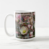 Lenten Rose Nah Kaffeetasse (Links)