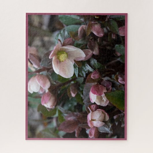 Lenten-Rose Puzzle (Vertikal)
