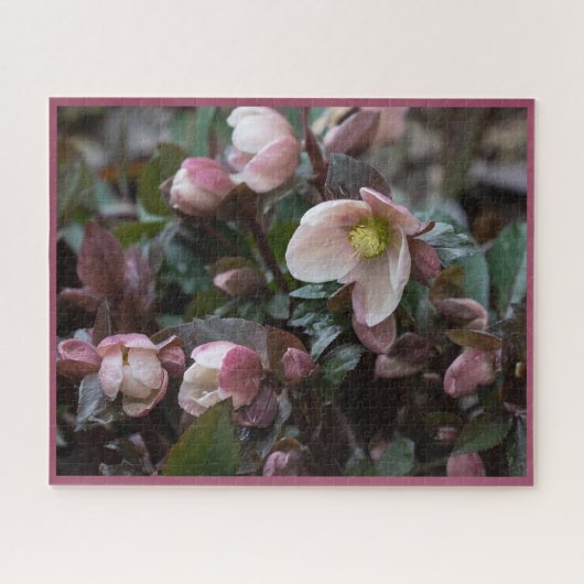 Lenten-Rose Puzzle (Horizontal)