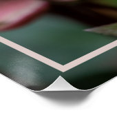 Lenten Rose SPRING Poster (Ecke)