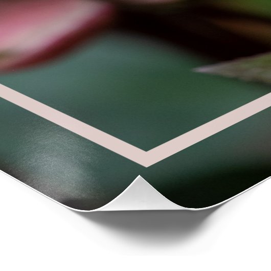 Lenten Rose SPRING Poster (Ecke)