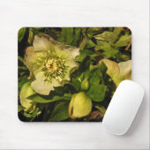 Lenten RoseHellebore Mousepad (Mit Mouse)