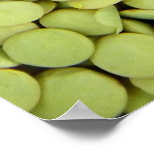 Lentils Poster (Ecke)