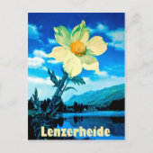 Lenzerheide, Schweiz, Sommer Blume am See Postkarte (Vorderseite)