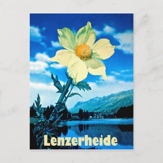 Lenzerheide, Schweiz, Sommer Blume am See Postkarte (Vorderseite)