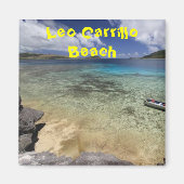 leo Aarllo Strand malibu californa. Magnet (Vorne)