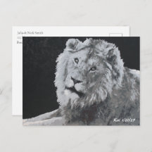 Leo, afrikanischer Löwe, Tier