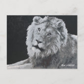 Leo, afrikanischer Löwe, Tier Postkarte (Vorderseite)