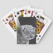 Leo, afrikanischer Löwe, Tier Spielkarten (Rückseite)