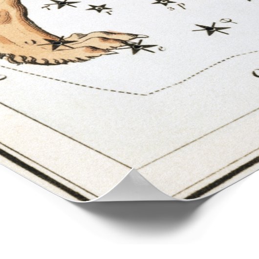 Leo Astrologisch Zeichnend Poster (Ecke)