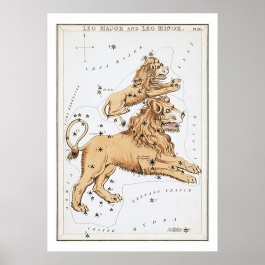 Leo Astrology Zodiac Poster (Vorne)
