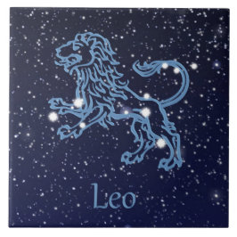 Leo Constellation and Zodiac Sign with Stars Fliese
