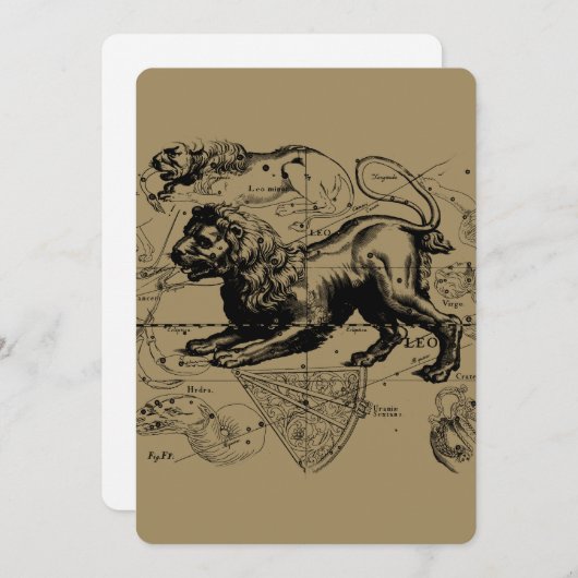 Leo Constellation Hevelius 1690 Juli 23 - August 2 (Vorne/Hinten)