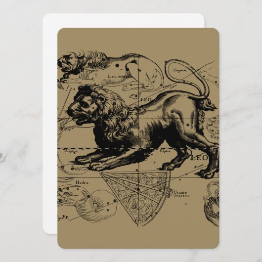 Leo Constellation Hevelius 1690 Juli 23 - August 2 (Vorne/Hinten)