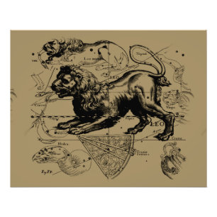 Leo Constellation Hevelius 1690 Juli 23 August 22 Fotodruck