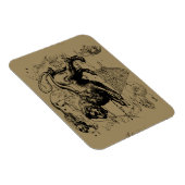 Leo Constellation Hevelius 1690 Juli 23 August 22 Magnet (Rechte Seite)