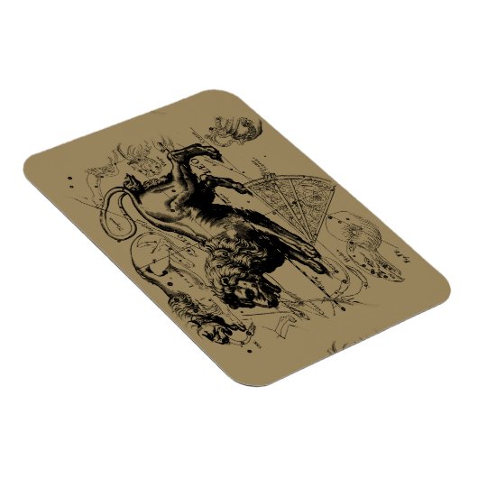 Leo Constellation Hevelius 1690 Juli 23 August 22 Magnet (Rechte Seite)