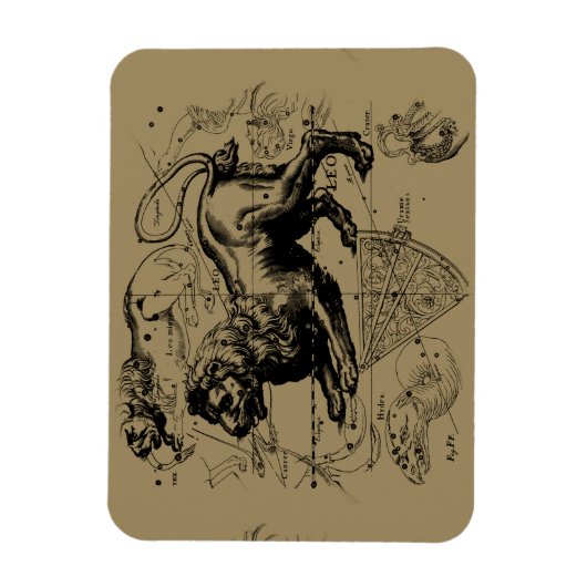 Leo Constellation Hevelius 1690 Juli 23 August 22 Magnet (Vertikal)