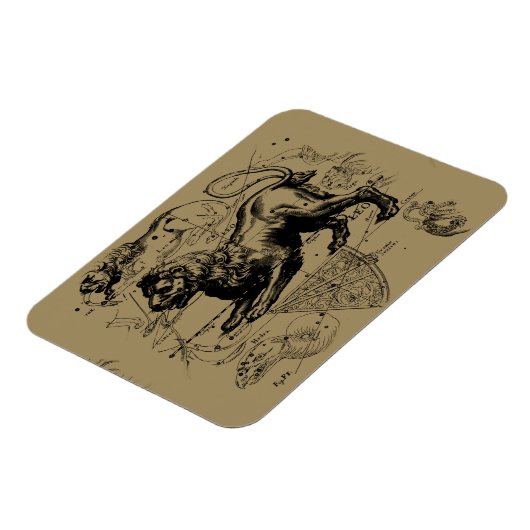Leo Constellation Hevelius 1690 Juli 23 August 22 Magnet (Linke Seite)