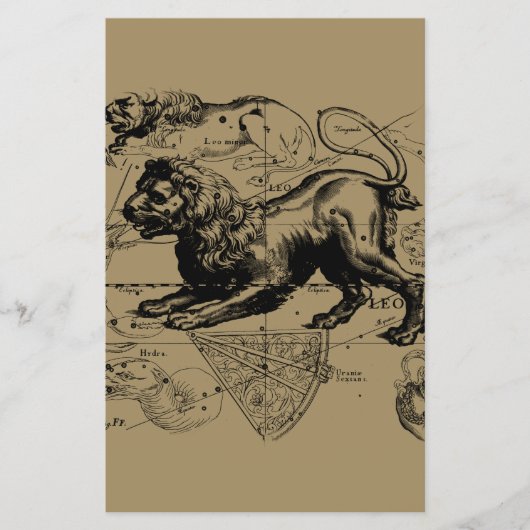 Leo Constellation Hevelius 1690 Juli 23 - August 2 Flyer (Vorne)