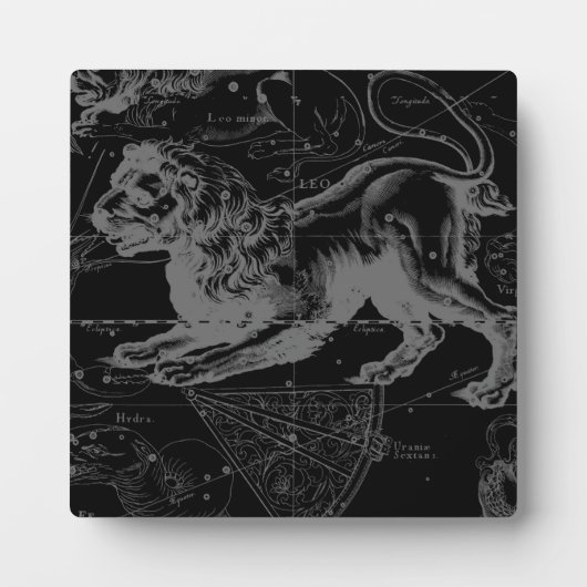 Leo Constellation Hevelius 1690 Juli 23 - August 2 Fotoplatte (Vorderseite)