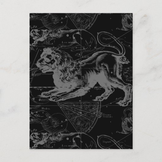 Leo Constellation Hevelius Dekor 1690 Postkarte (Vorderseite)
