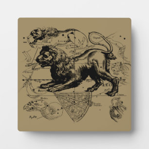 Leo Constellation Map Hevelius 1690 auf Taupe Fotoplatte