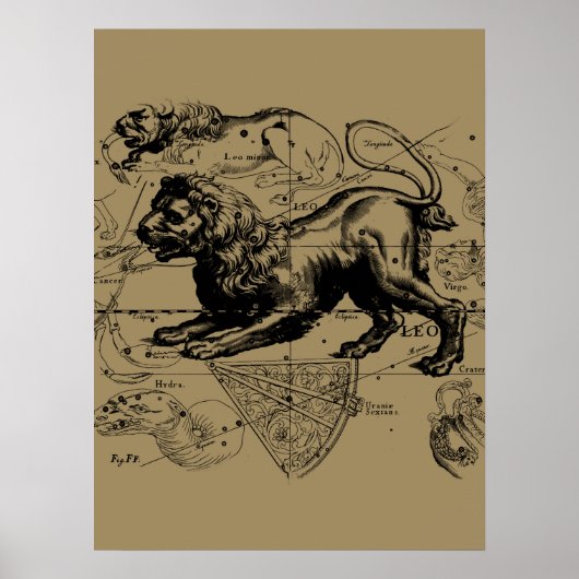 Leo Constellation Map Hevelius 1690 auf Taupe Poster (Vorne)