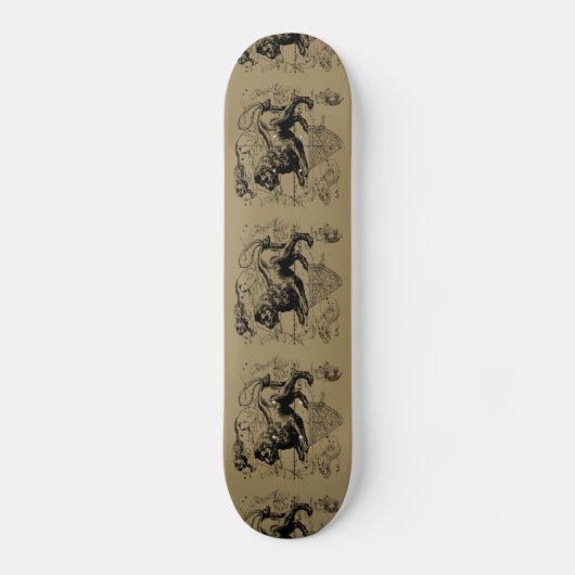 Leo Constellation Map Hevelius 1690 auf Taupe Skateboard (Vorderseite)