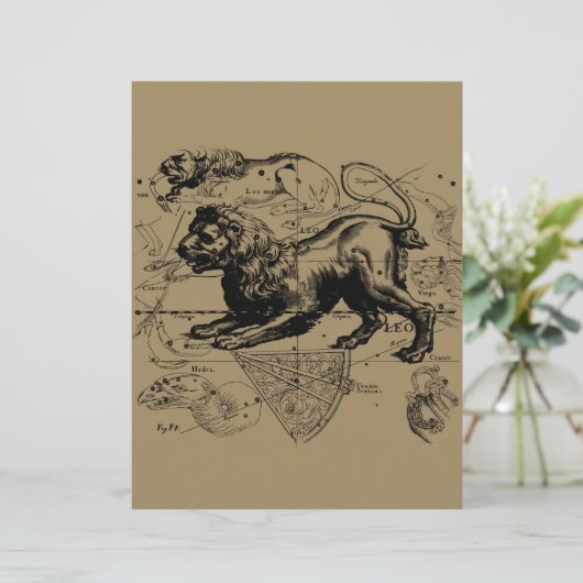 Leo Constellation Map Hevelius circa 1690 (Stehend Vorderseite)