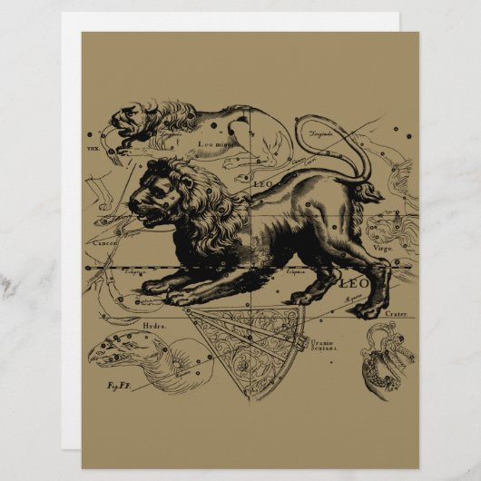 Leo Constellation Map Hevelius circa 1690 (Vorne/Hinten)