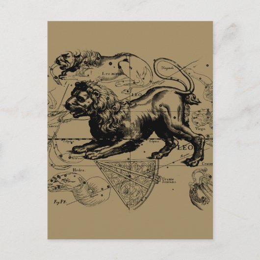 Leo Constellation Map Hevelius circa 1690 Postkarte (Vorderseite)