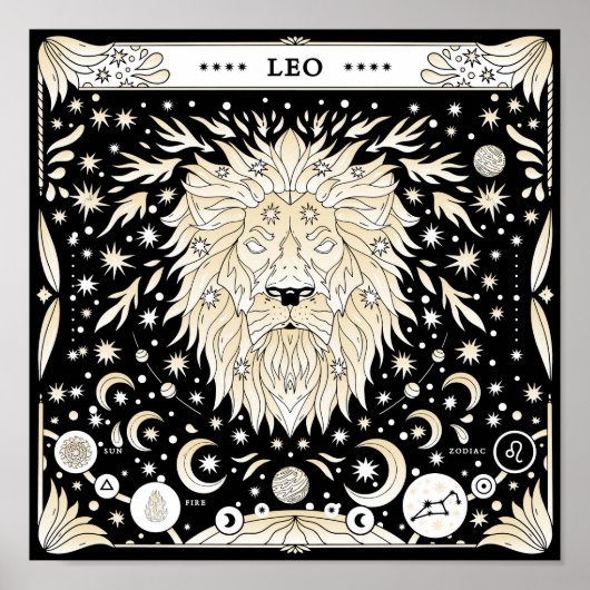 Leo: Der Solar Superstar Poster (Vorne)