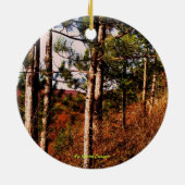 Leo Harrison St Pk~Pa Grand Canyon Keramik Ornament (Hinten)