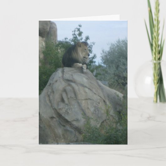 Leo Karte (Vorderseite)