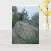 Leo Karte (Gelbe Blume)