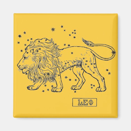 Leo Magnet (Vorne)