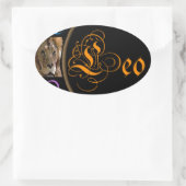 Leo Ovaler Aufkleber (Tasche)