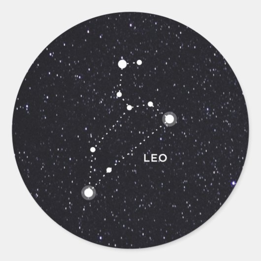Leo Runder Aufkleber (Vorderseite)