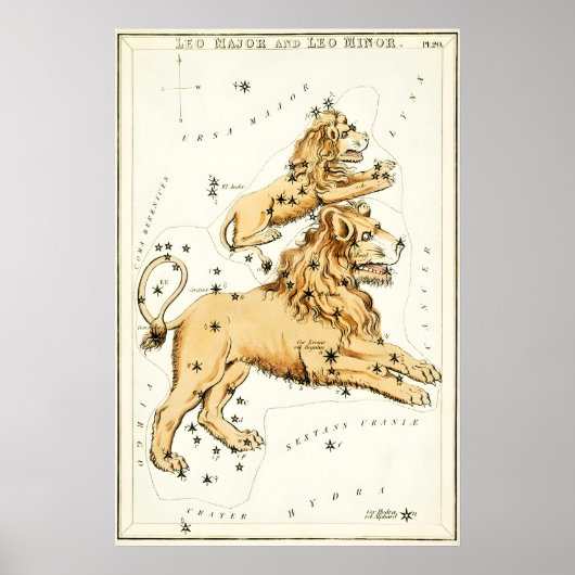 Leo Sternbild Kunstdruck Antik Poster (Vorne)