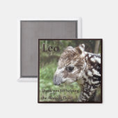 Leo the Andean Tapir Magnet (Vorderseite/Rückseite)