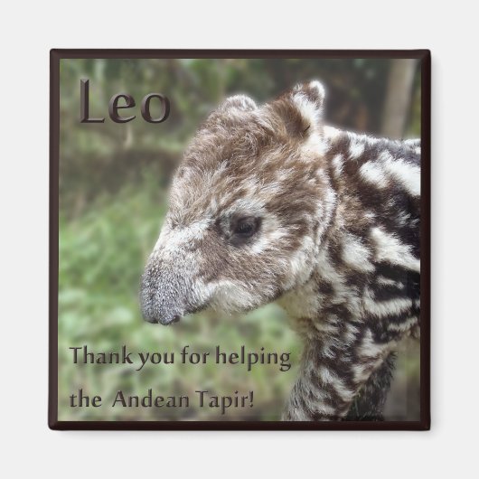 Leo the Andean Tapir Magnet (Vorne)