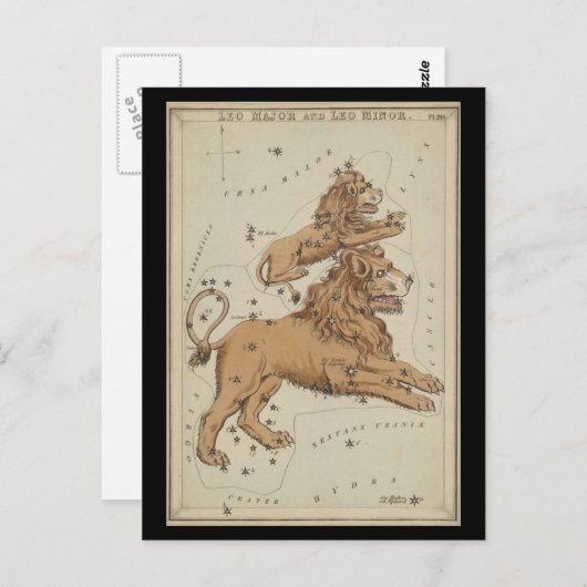 Leo the Lion Postkarte (Vorne/Hinten)