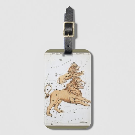 Leo, Uranis Spiegel, Vintage Konstellation Gepäckanhänger (Vorderseite Vertikal)