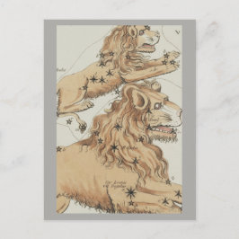 Leo Zodiac Sign Postkarte